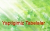Yaptigimiz Tabelalar
